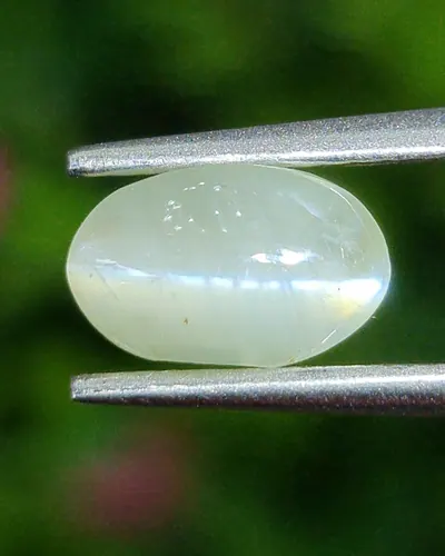 ตาแมว คริโซเบริล Cat eye Chrysoberyl