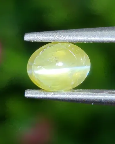 ตาแมว คริโซเบริล Cat eye Chrysoberyl