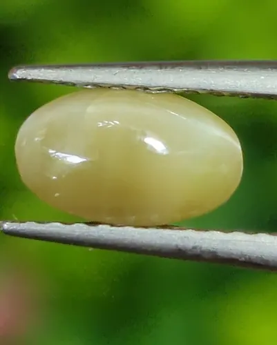 ตาแมว คริโซเบริล Cat eye Chrysoberyl