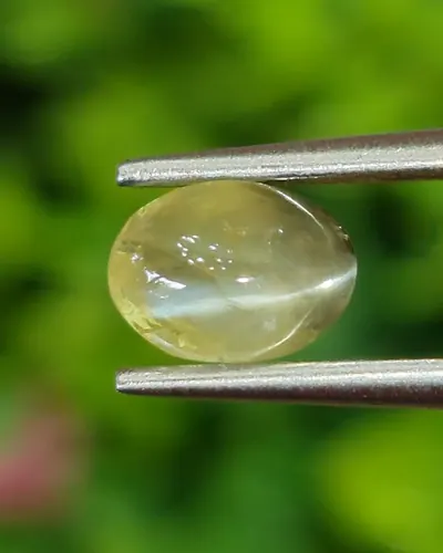 ตาแมว คริโซเบริล Cat eye Chrysoberyl