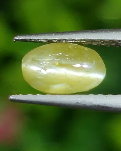 ตาแมว คริโซเบริล Cat eye Chrysoberyl