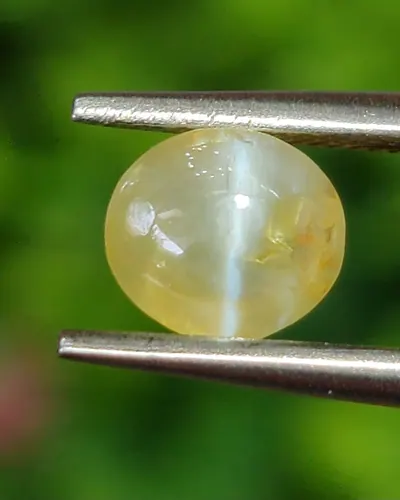 ตาแมว คริโซเบริล Cat eye Chrysoberyl