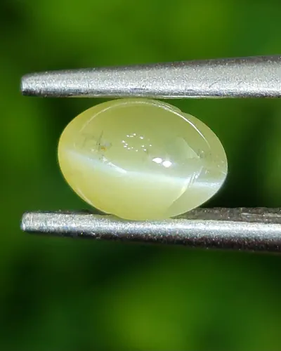 ตาแมว คริโซเบริล Cat eye Chrysoberyl