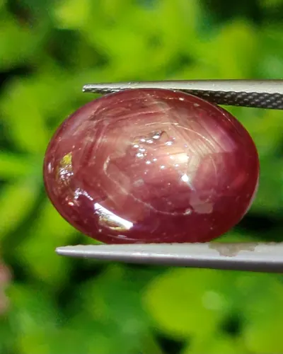 สตาร์ แซฟไฟร์ Star Sapphire