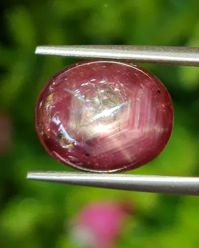 สตาร์ แซฟไฟร์ Star Sapphire
