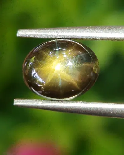 โกลเด้น สตาร์ แซฟไฟร์ Golden Star Sapphire