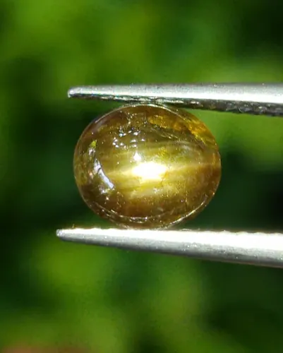 โกลเด้น สตาร์ แซฟไฟร์ Golden Star Sapphire