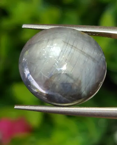 แบล็ค สตาร์ แซฟไฟร์ Natural Star Sapphire