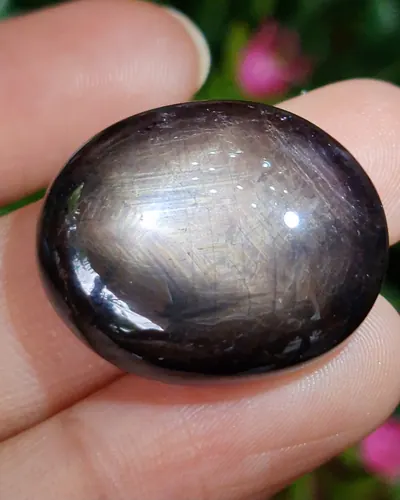 แบล็ค สตาร์ แซฟไฟร์ Natural Star Sapphire