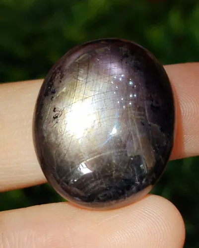 แบล็ค สตาร์ แซฟไฟร์ Natural Star Sapphire