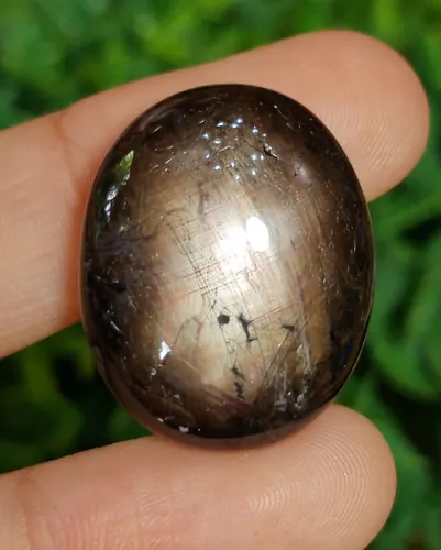 แบล็ค สตาร์ แซฟไฟร์ Natural Star Sapphire