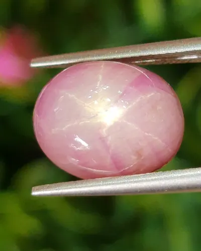สตาร์ แซฟไฟร์ Star Sapphire