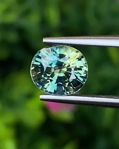 แซฟไฟร์ 3 สี Tri-Color Sapphire