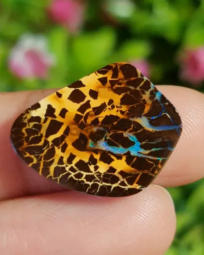 พลอย โอปอล Opal