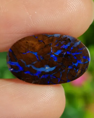 พลอย โอปอล Opal