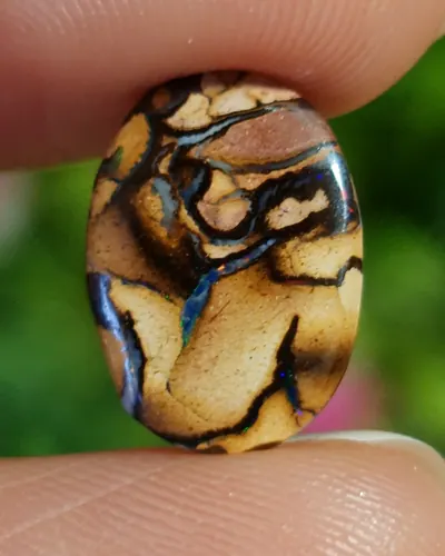 พลอย โอปอล Opal