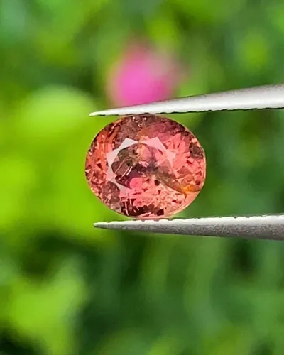 พลอย ชมพู พิ้ง แซฟไฟร์ Pink Sapphire