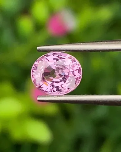 พลอย ชมพู Pink sapphire