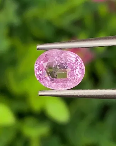 พลอย ชมพู Pink sapphire
