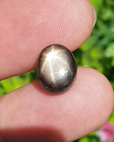 แบล็ค สตาร์ แซฟไฟร์ Natural Star Sapphire