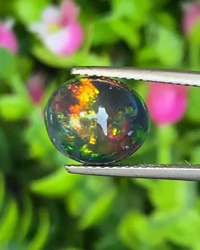 พลอย โอปอล Opal