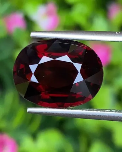 พลอย โกเมน Pyrope - Almandite Garnet