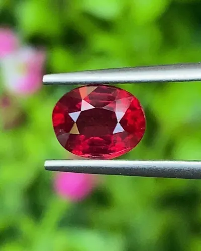 พลอย ทับทิม Ruby sapphire