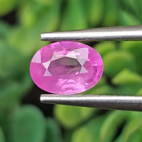 พลอย ชมพู พิ้ง แซฟไฟร์ Pink Sapphire