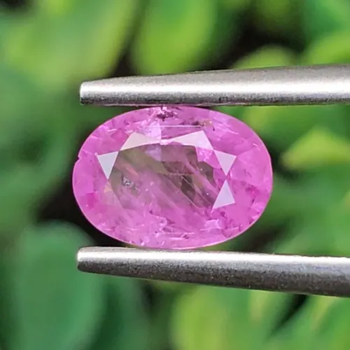 พลอย ชมพู พิ้ง แซฟไฟร์ Pink Sapphire