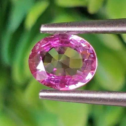 พลอย ชมพู พิ้ง แซฟไฟร์ Pink Sapphire