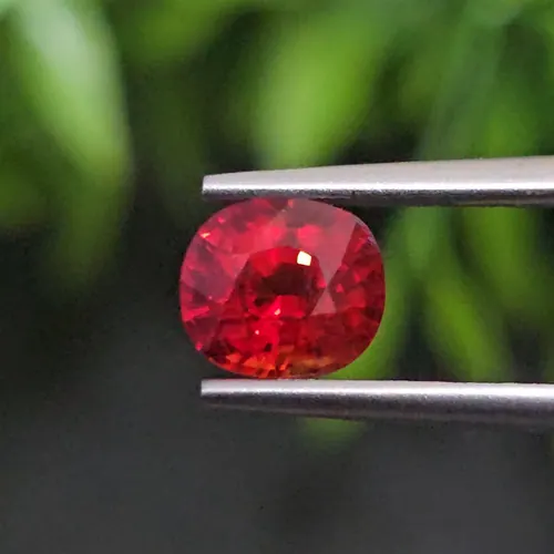 ทับทิม ซองเจีย Songea Ruby Sapphire