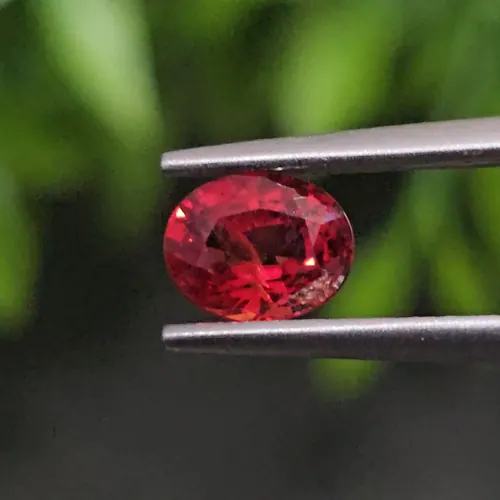 ทับทิม ซองเจีย Songea Ruby Sapphire
