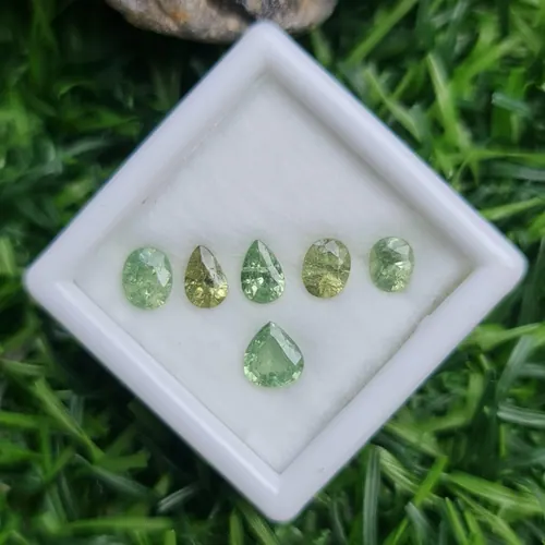 ดีแมนทรอยด์ การ์เน็ต Demantoid Garnet