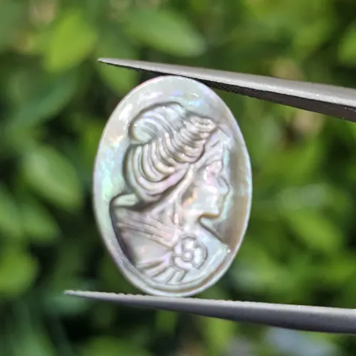 เปลือกหอยมุก (pearl shell)