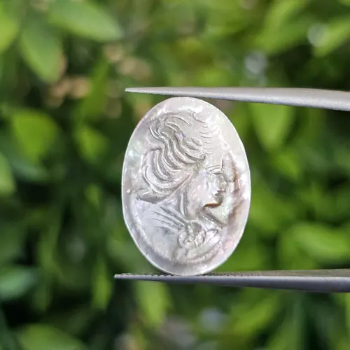 เปลือกหอยมุก (pearl shell)
