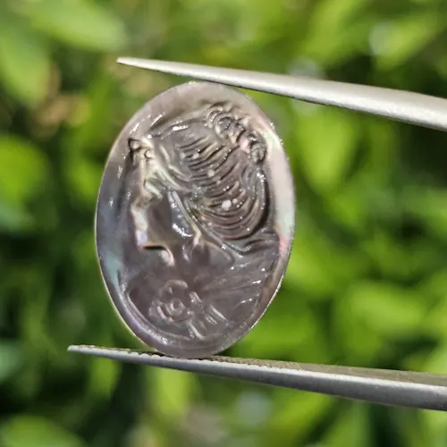 เปลือกหอยมุก (pearl shell)