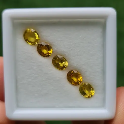 บุษราคัม Yellow Sapphire
