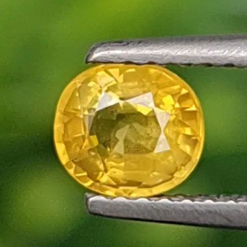 บุษราคัม Natural Yellow Sapphire