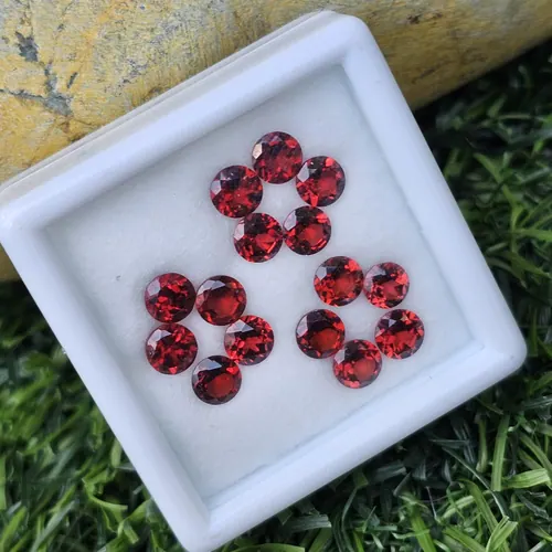 พลอย โกเมน Garnet