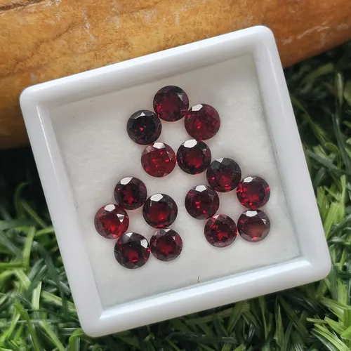 พลอย โกเมน Garnet
