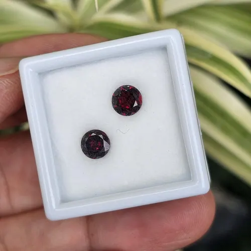 พลอย โกเมน Garnet