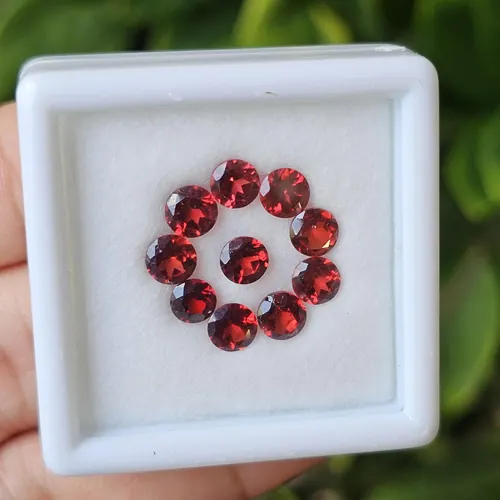 พลอย โกเมน Garnet