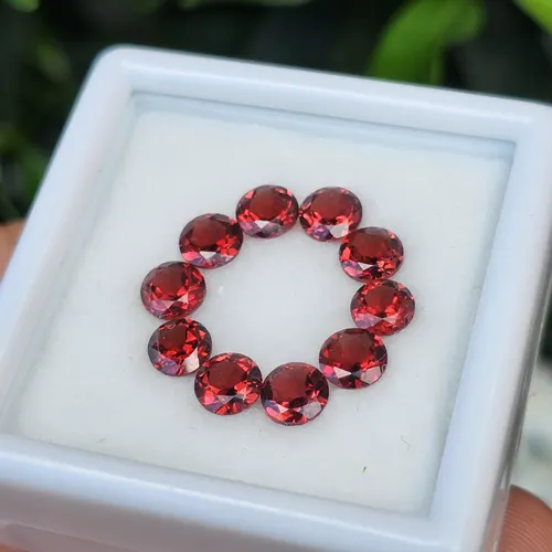พลอย โกเมน Garnet
