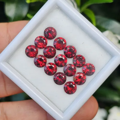 พลอย โกเมน Garnet