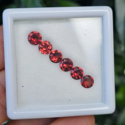 พลอย โกเมน Garnet