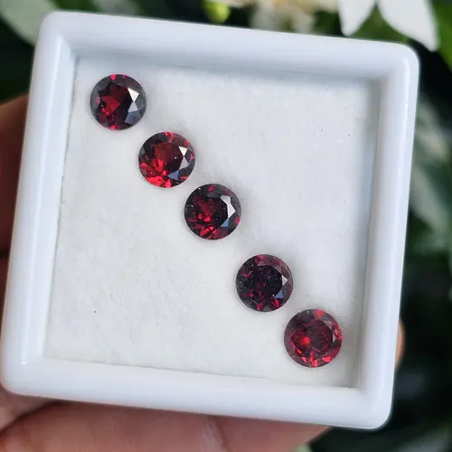 พลอย โกเมน Garnet