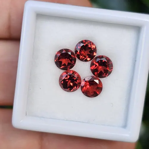 พลอย โกเมน Garnet
