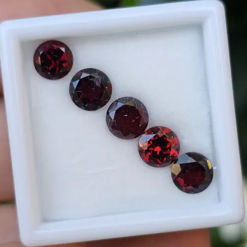 พลอย โกเมน Garnet