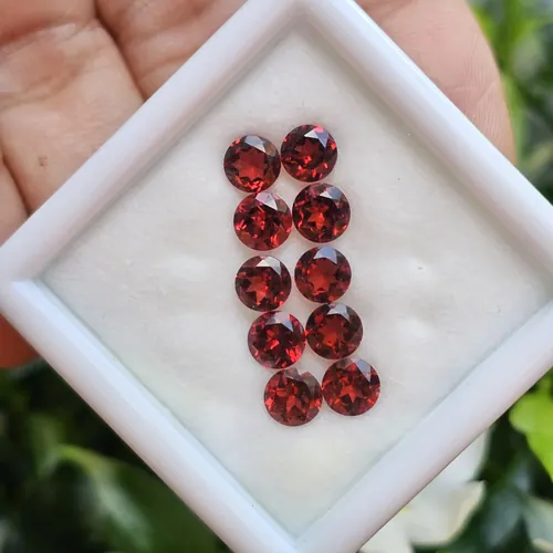 พลอย โกเมน Garnet