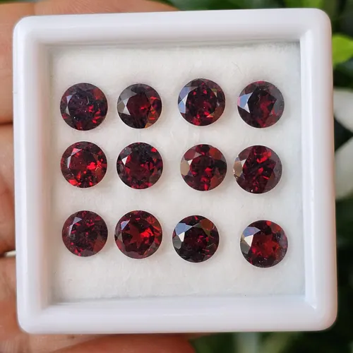 พลอย โกเมน Garnet